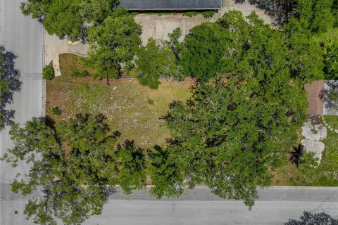 Terreno en venta en Clearwater, Florida № 1810865 - foto 8