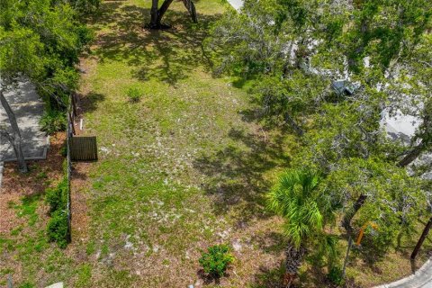 Terreno en venta en Clearwater, Florida № 1810865 - foto 7