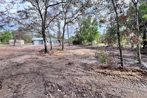 House in Punta Gorda, Florida 2 bedrooms, 118.17 sq.m. № 1853868 - photo 25