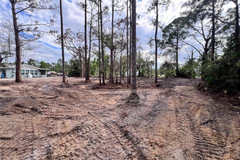 House in Punta Gorda, Florida 2 bedrooms, 118.17 sq.m. № 1853868 - photo 27