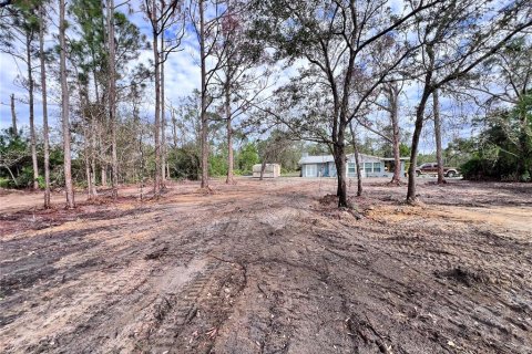 House in Punta Gorda, Florida 2 bedrooms, 118.17 sq.m. № 1853868 - photo 24
