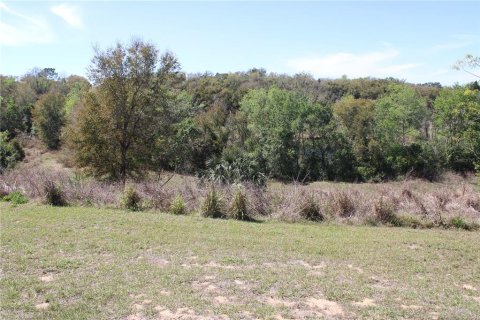 Land in Eustis, Florida № 1526274 - photo 10