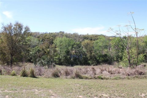 Land in Eustis, Florida № 1526274 - photo 5