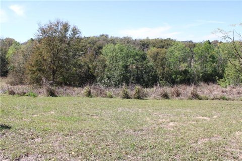 Land in Eustis, Florida № 1526274 - photo 1
