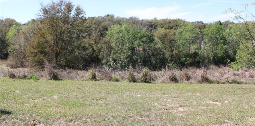 Land in Eustis, Florida № 1526274