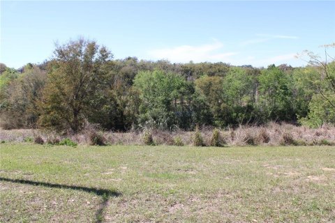 Land in Eustis, Florida № 1526274 - photo 11