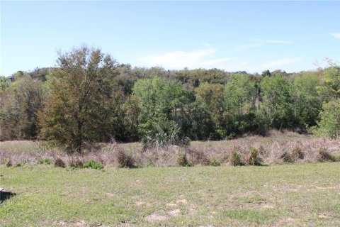 Land in Eustis, Florida № 1526274 - photo 14