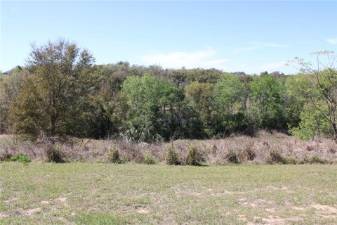 Land in Eustis, Florida № 1526274 - photo 6