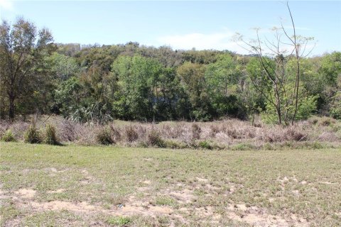 Land in Eustis, Florida № 1526274 - photo 4