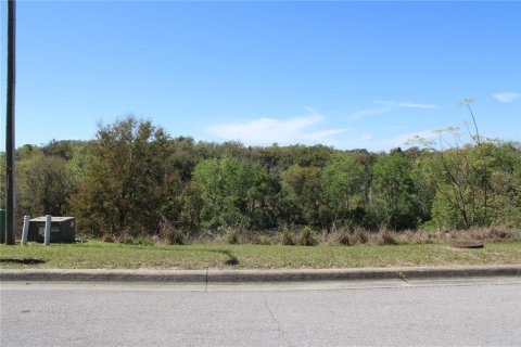 Land in Eustis, Florida № 1526274 - photo 13
