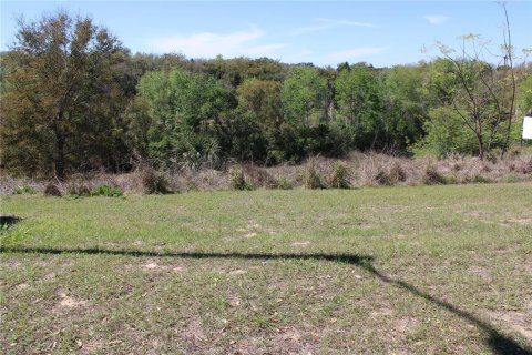 Land in Eustis, Florida № 1526274 - photo 3