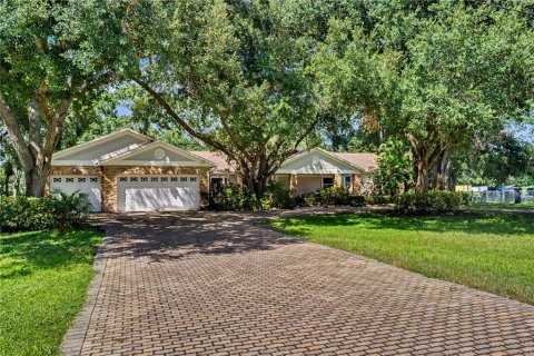 House in Tampa, Florida 4 bedrooms, 325.34 sq.m. № 2353189