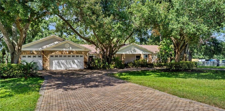 House in Tampa, Florida 4 bedrooms, 325.34 sq.m. № 2353189
