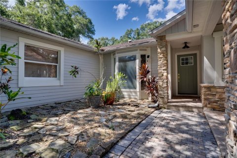House in Tampa, Florida 4 bedrooms, 325.34 sq.m. № 2353189 - photo 4