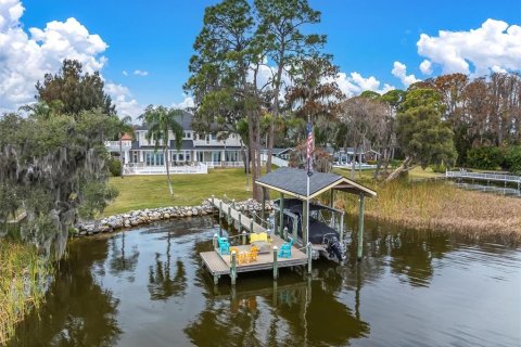 House in Palm Harbor, Florida 4 bedrooms, 727.98 sq.m. № 2233267 - photo 2