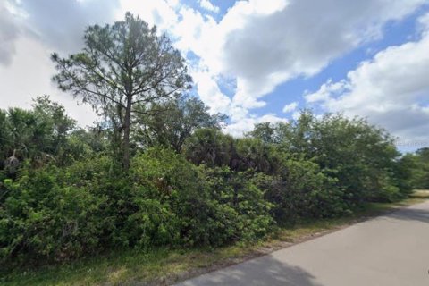 Land in Port Charlotte, Florida № 2164857