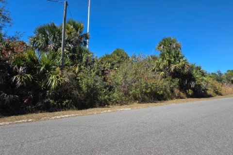 Land in Palm Bay, Florida № 2163943 - photo 2