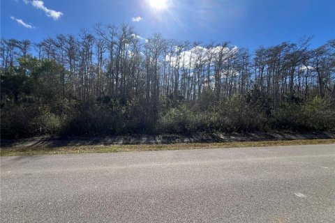 Land in Naples, Florida № 2120187 - photo 4