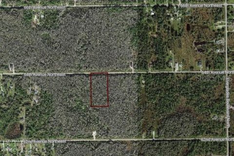 Land in Naples, Florida № 2120187 - photo 3