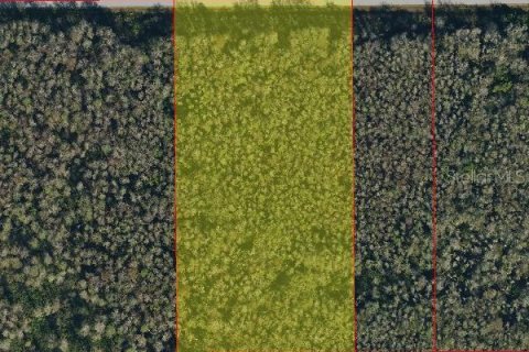 Land in Naples, Florida № 2120187 - photo 2