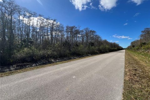 Land in Naples, Florida № 2120187 - photo 5