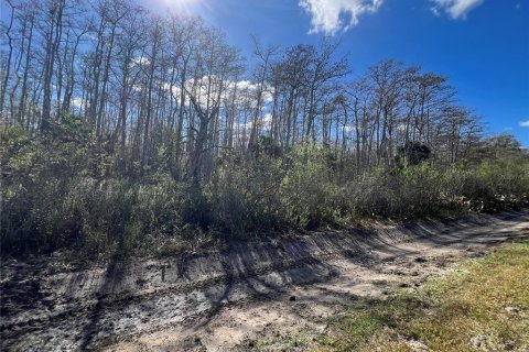 Land in Naples, Florida № 2120187