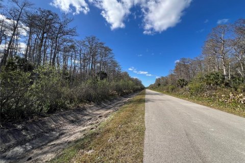 Land in Naples, Florida № 2120187 - photo 7