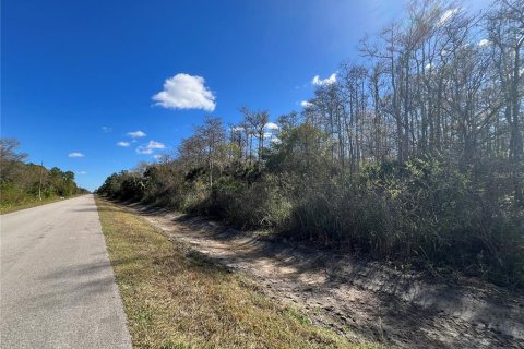 Land in Naples, Florida № 2120187 - photo 6
