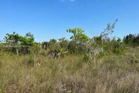 Купить коммерческую недвижимость в Майами, Флорида № 1940485 - фото 7