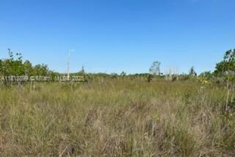 Купить коммерческую недвижимость в Майами, Флорида № 1940485 - фото 8