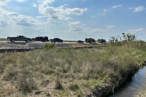 Купить коммерческую недвижимость в Майами, Флорида № 1940485 - фото 10