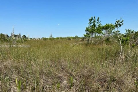 Купить коммерческую недвижимость в Майами, Флорида № 1940485 - фото 6