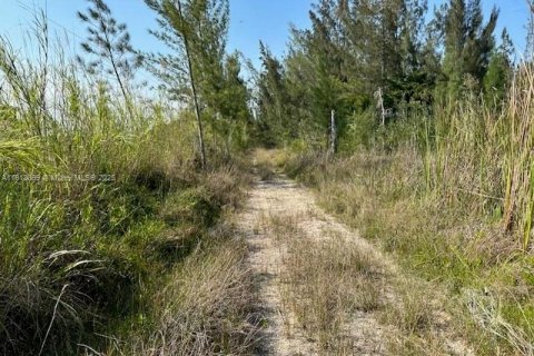 Купить коммерческую недвижимость в Майами, Флорида № 1940485 - фото 5