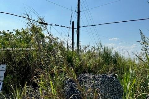 Купить коммерческую недвижимость в Майами, Флорида № 1940485 - фото 4