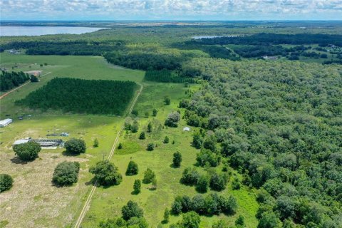 Terreno en venta en Clermont, Florida № 1855458 - foto 10