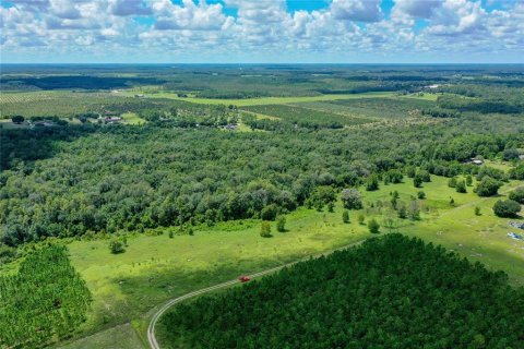 Terreno en venta en Clermont, Florida № 1855458 - foto 7