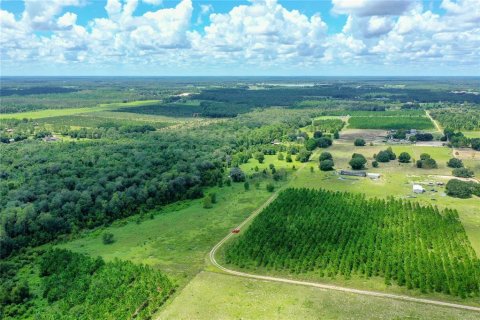 Terreno en venta en Clermont, Florida № 1855458 - foto 4