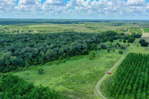 Terreno en venta en Clermont, Florida № 1855458 - foto 6