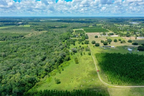 Terreno en venta en Clermont, Florida № 1855458 - foto 3