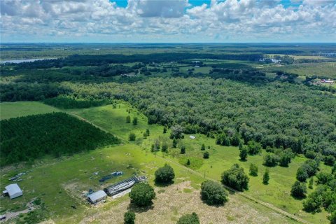 Terreno en venta en Clermont, Florida № 1855458 - foto 8