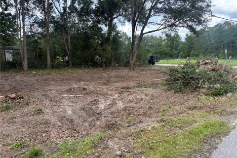 Land in Ocala, Florida № 2213170