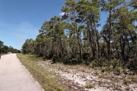 Land in Sebring, Florida № 2363934