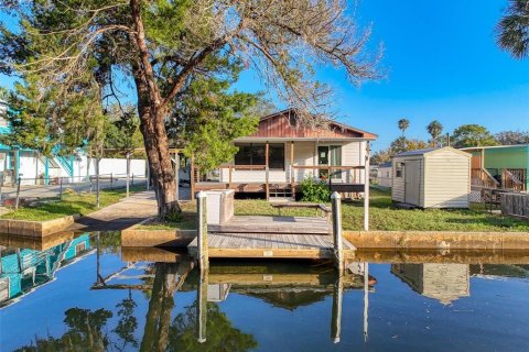 Villa ou maison à vendre à Weeki Wachee, Floride: 3 chambres, 125.6 m2 № 1439425 - photo 2