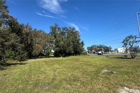 Land in Kissimmee, Florida № 247144 - photo 8