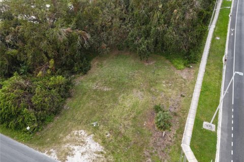 Land in Kissimmee, Florida № 247144 - photo 5