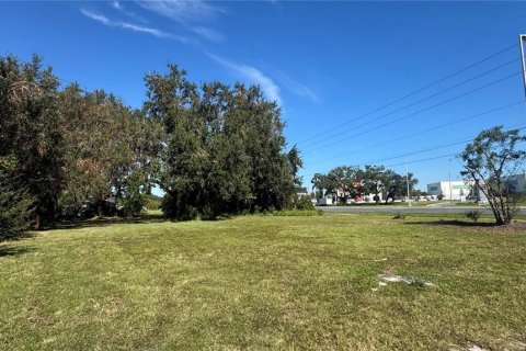 Land in Kissimmee, Florida № 247144 - photo 7