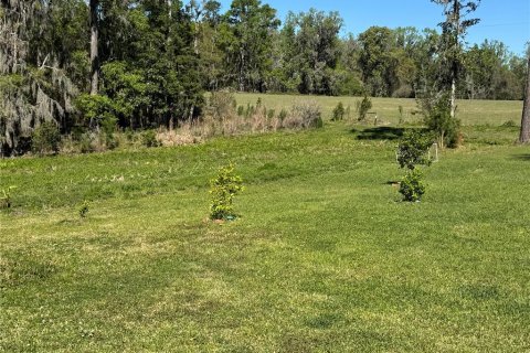 House in Alachua, Florida 2 bedrooms, 106.28 sq.m. № 1584428 - photo 7