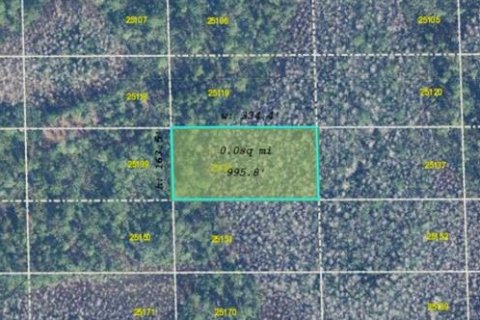 Land in Orlando, Florida № 2163903 - photo 4