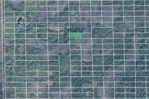 Land in Orlando, Florida № 2163903 - photo 3