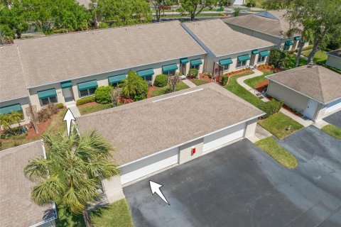 Condo à Saint Petersburg, Floride, 2 chambres № 2129954